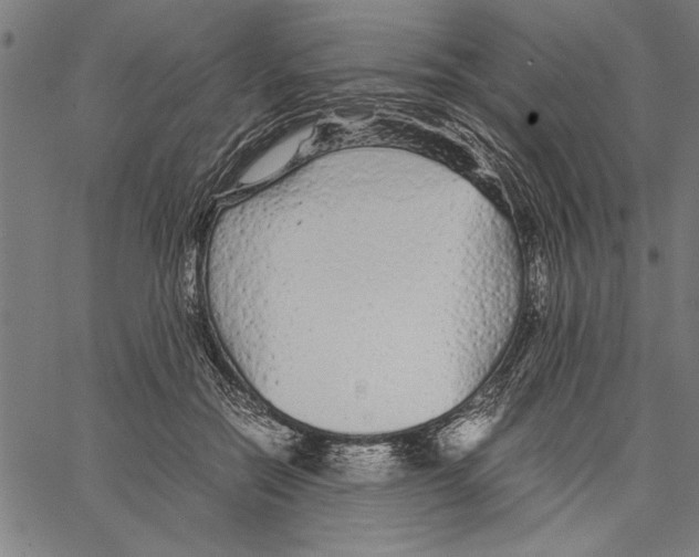 X0000066940554200604211752