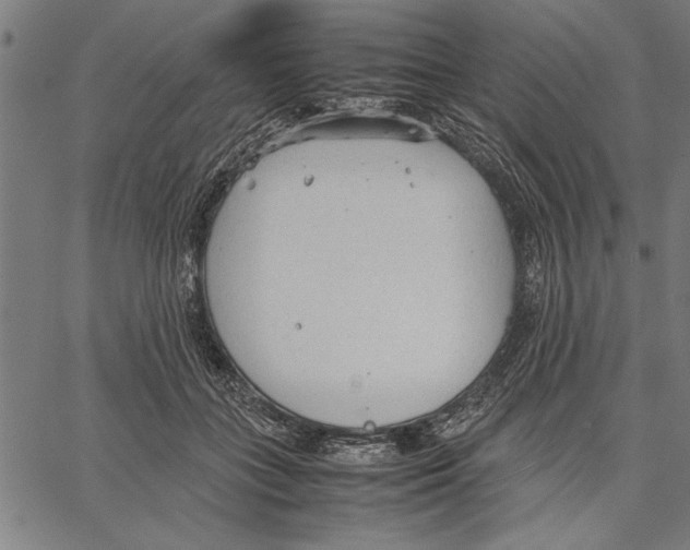 X0000066940555200604211752