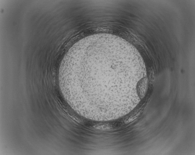 X0000066940557200604211753