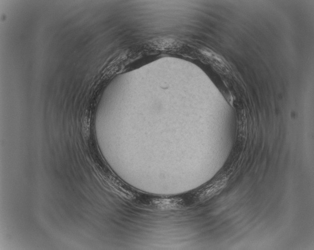 X0000066940558200604211753