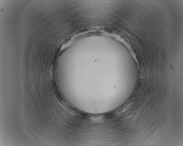 X0000066940560200604211753