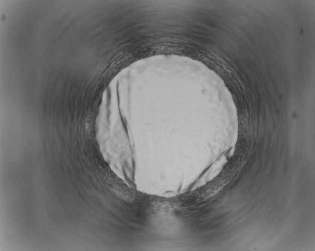 X0000066940561200604211753