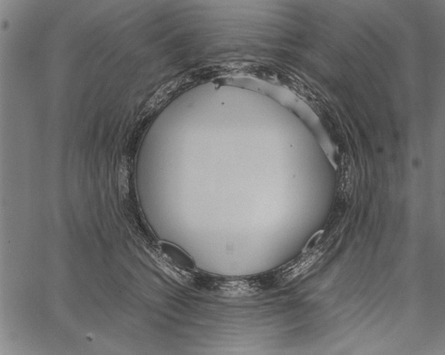 X0000066940562200604211753