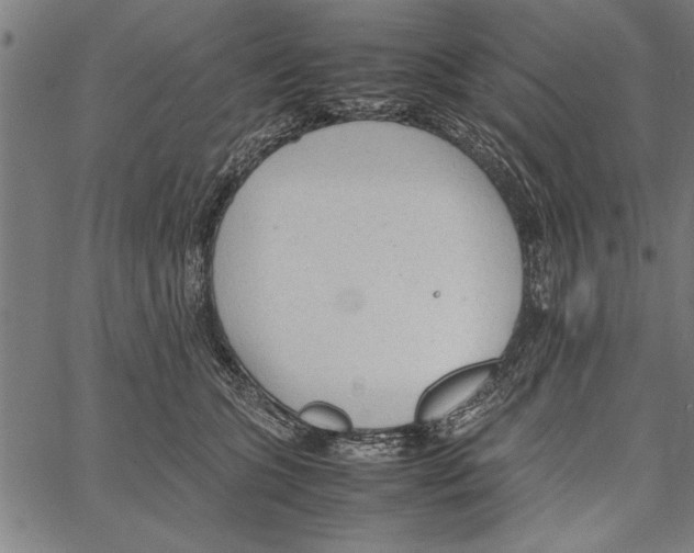 X0000066940563200604211753