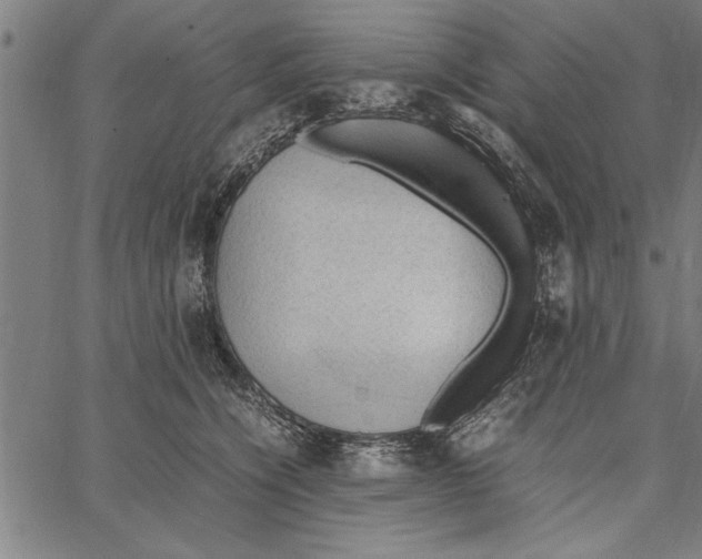 X0000066940564200604211753