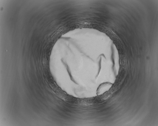 X0000066940565200604211753