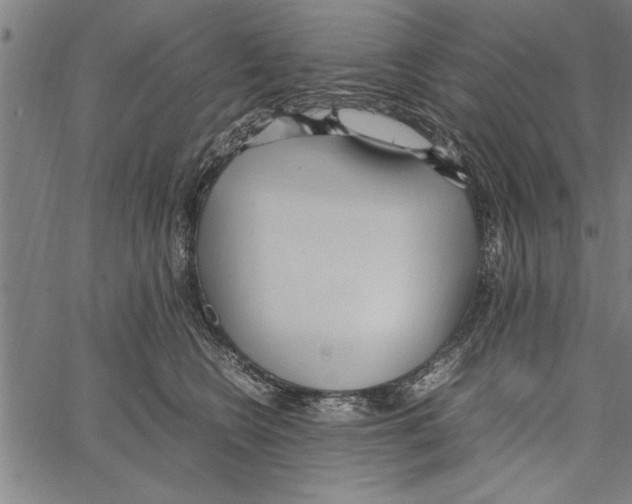 X0000066940566200604211753