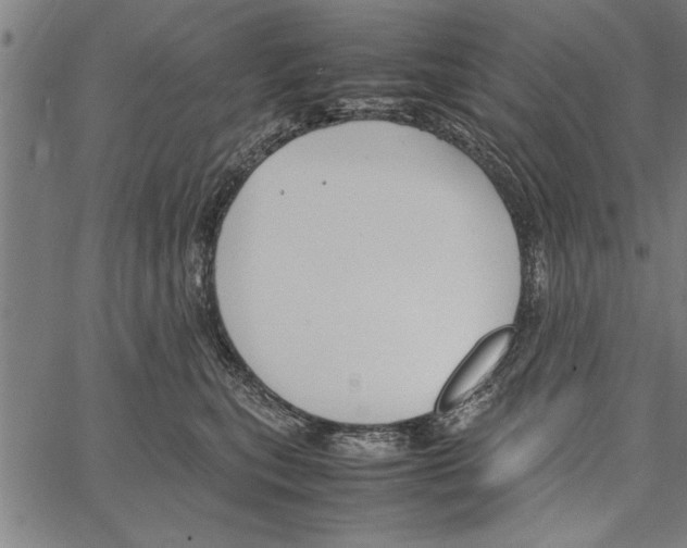 X0000066940567200604211753