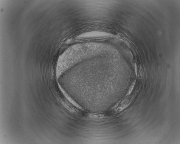 X0000066940568200604211753