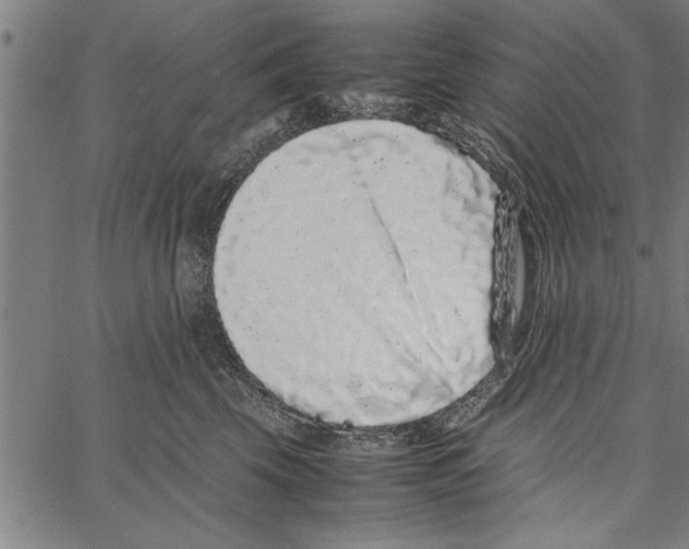 X0000066940569200604211753