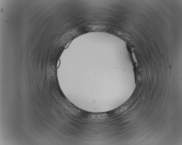 X0000066940571200604211753