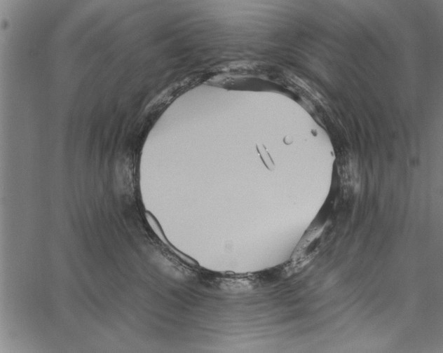 X0000066940572200604211753