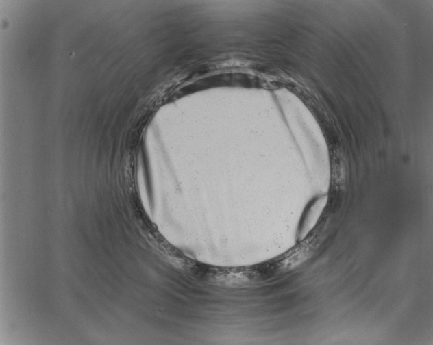 X0000066940573200604211753