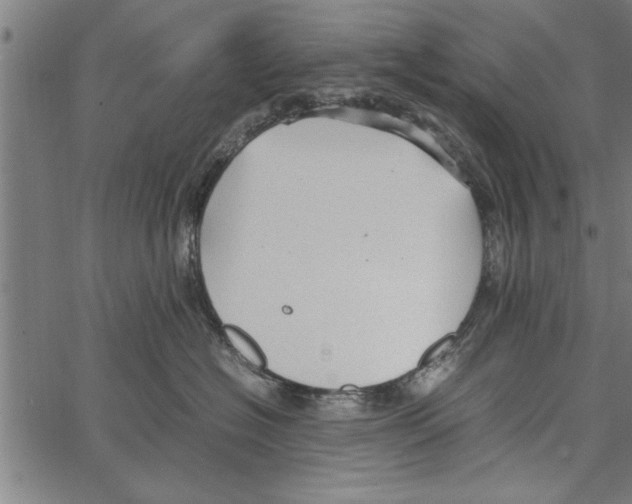 X0000066940574200604211753