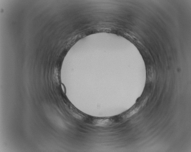 X0000066940575200604211753