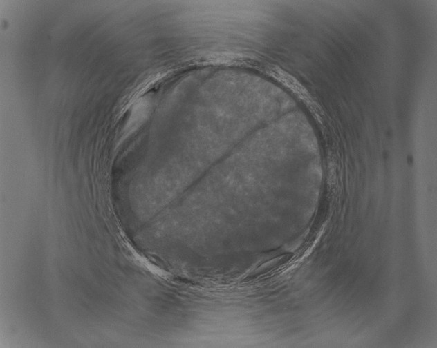 X0000066940577200604211752