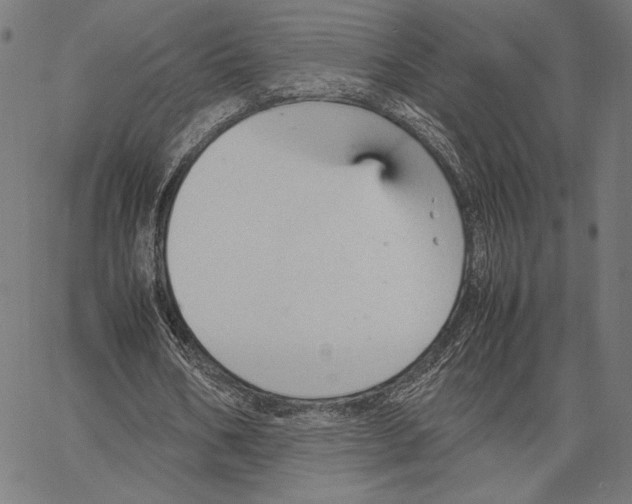 X0000066940578200604211752