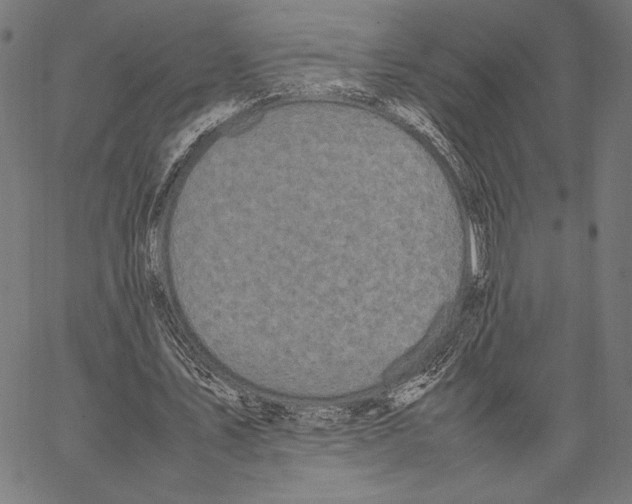 X0000066940579200604211752