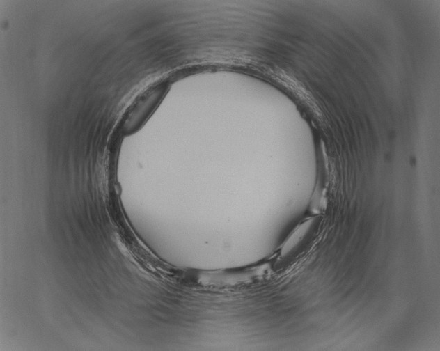 X0000066940580200604211752