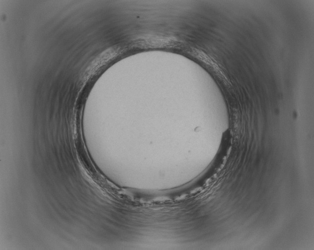 X0000066940582200604211752