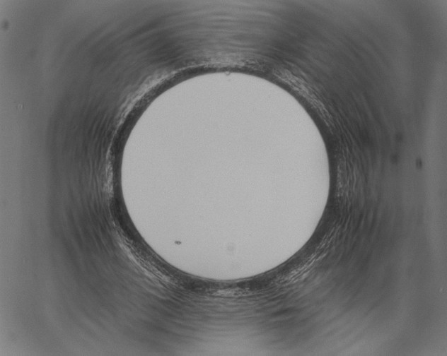 X0000066940584200604211752