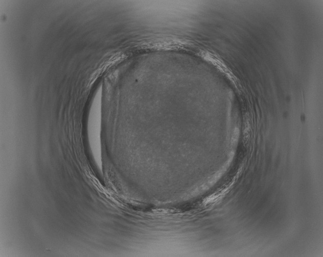 X0000066940585200604211752