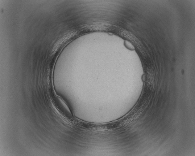 X0000066940586200604211752