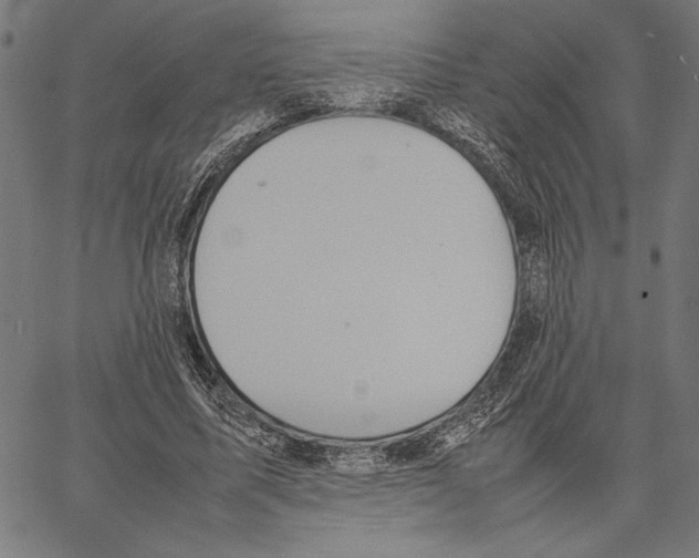 X0000066940587200604211752