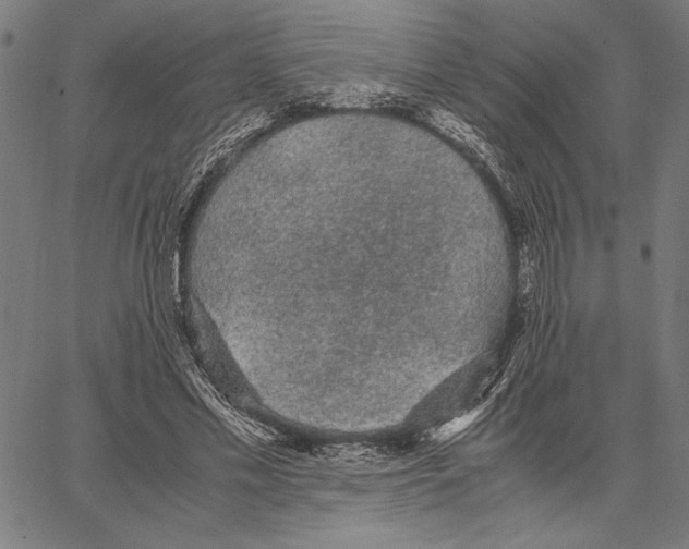 X0000066940589200604211752