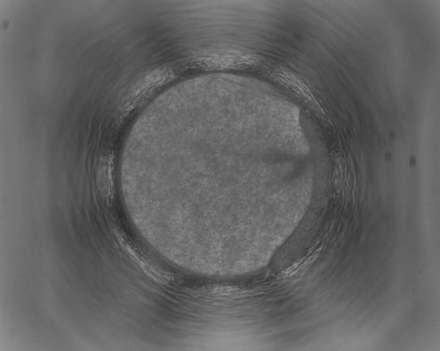 X0000066940590200604211752