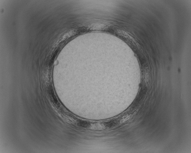 X0000066940591200604211752