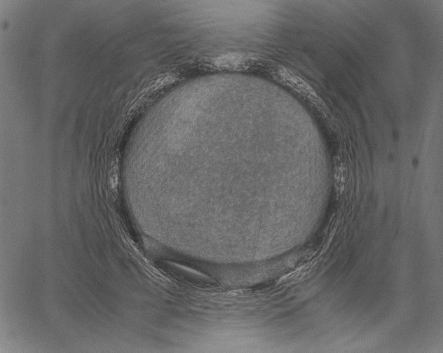 X0000066940593200604211752