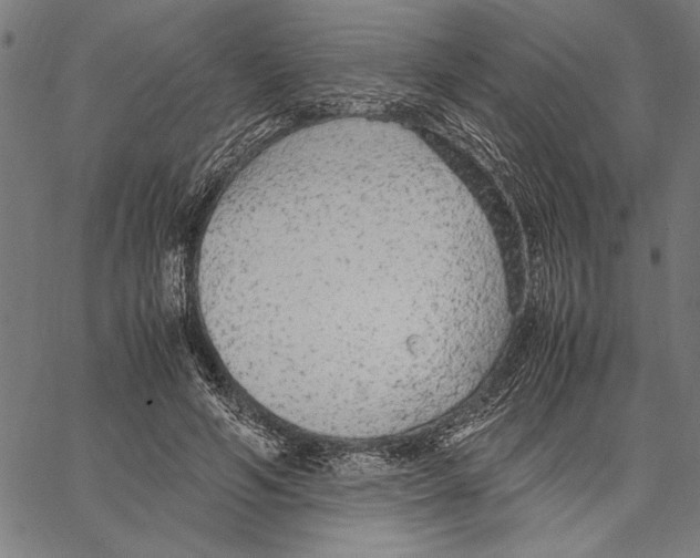 X0000066940594200604211752