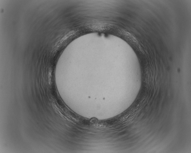 X0000066940596200604211752