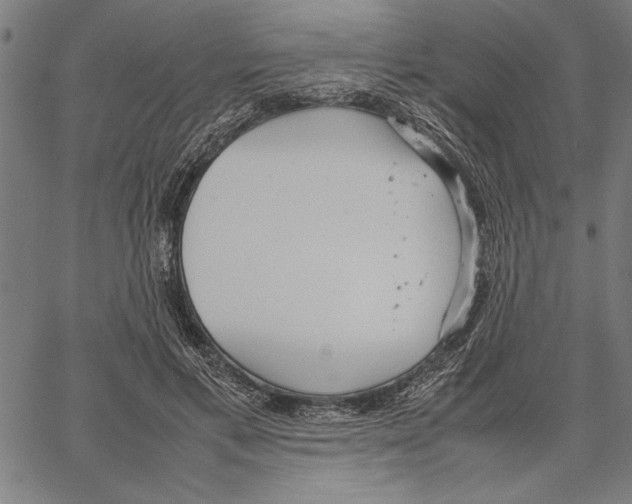 X0000066940597200604211752