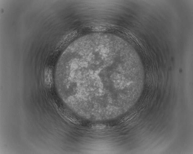 X0000066940598200604211752