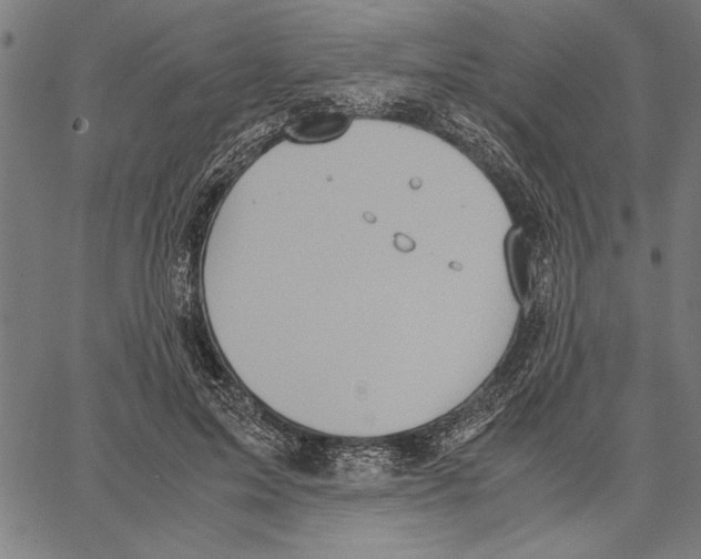 X0000066940599200604211752