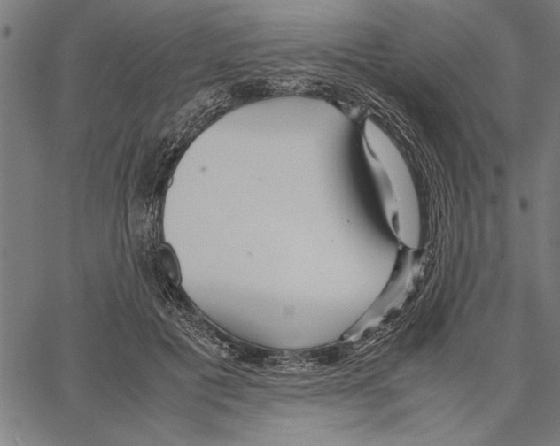 X0000066940601200604211752