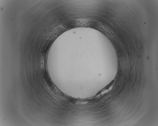 X0000066940602200604211752