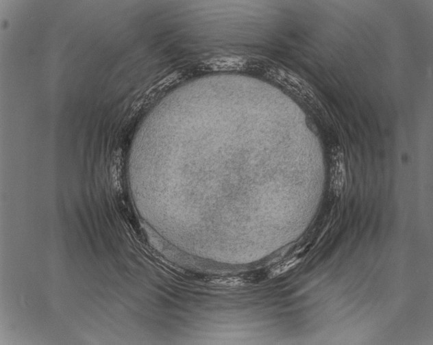 X0000066940604200604211752