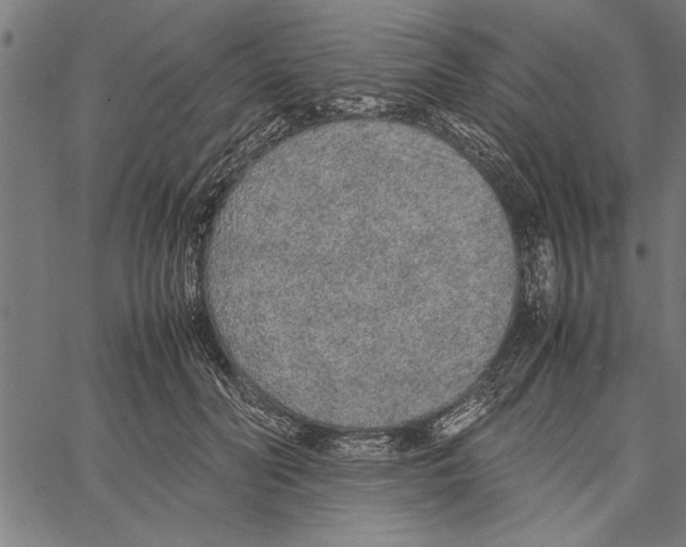 X0000066940606200604211752