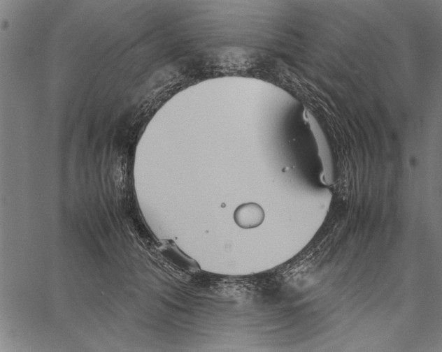 X0000066940608200604211752