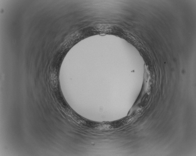 X0000066940609200604211752