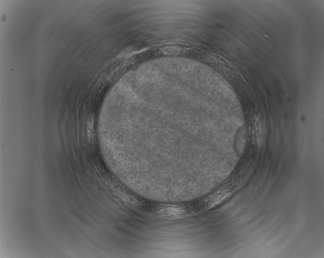 X0000066940610200604211751