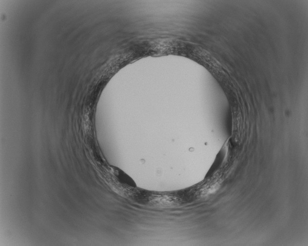 X0000066940611200604211751