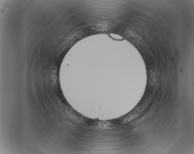 X0000066940612200604211751