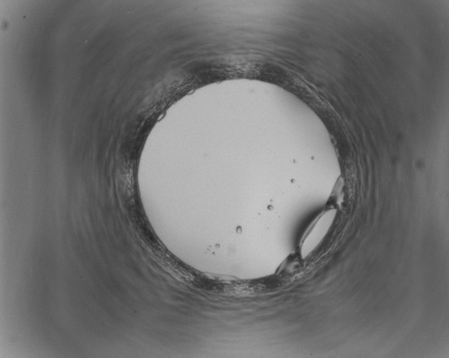 X0000066940613200604211751