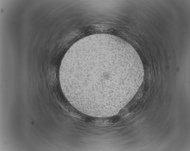 X0000066940615200604211751