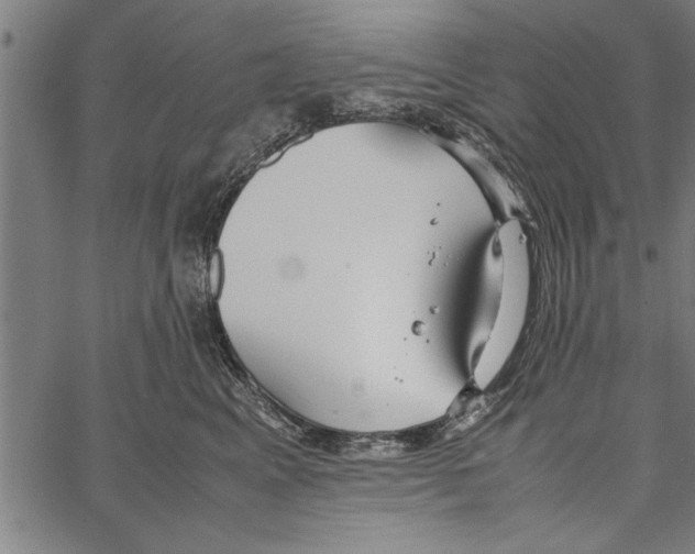 X0000066940617200604211751