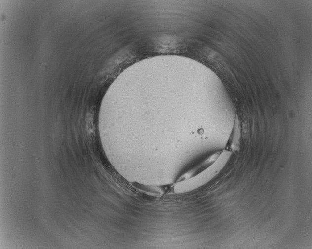 X0000066940620200604211751